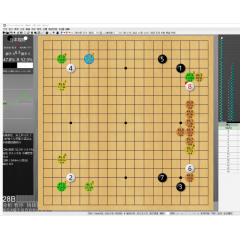 金毛流棋谱